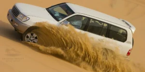 best desert safari company in dubai