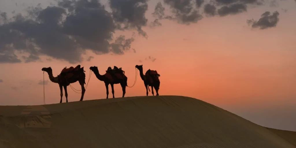 desert safari dubai booking