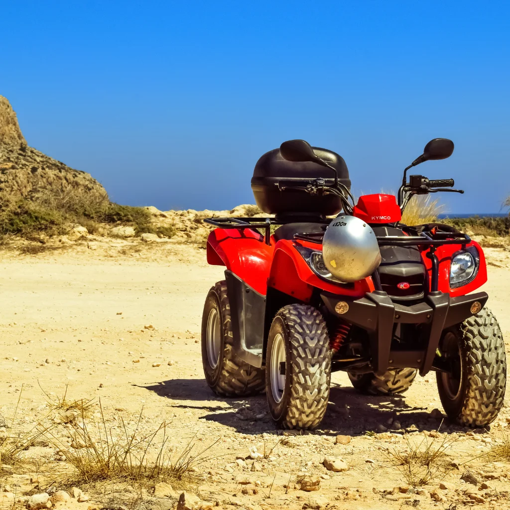 polaris buggy