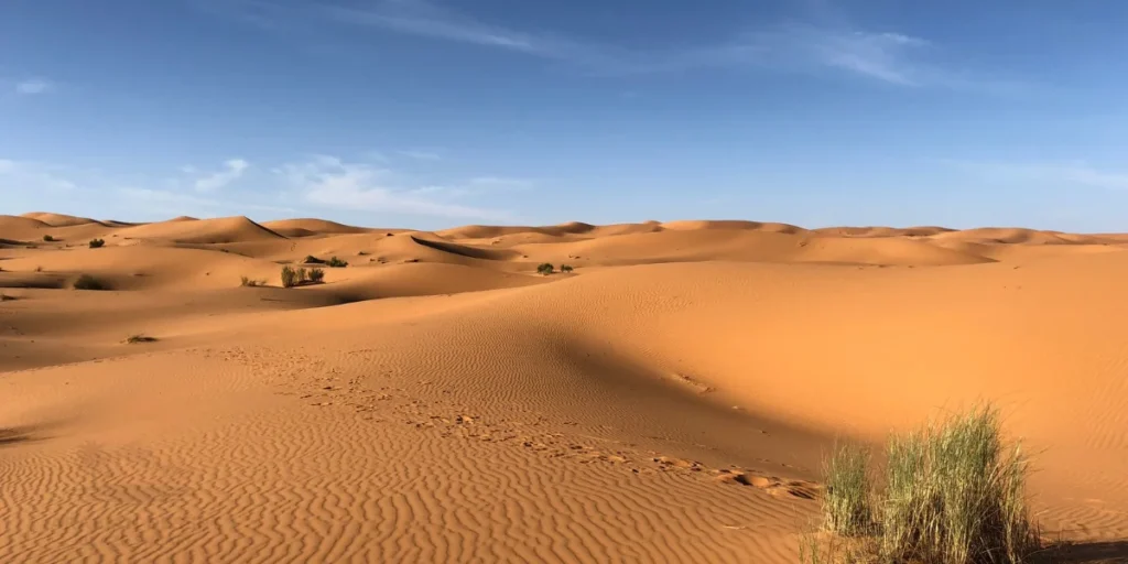 dubai safari desert tour